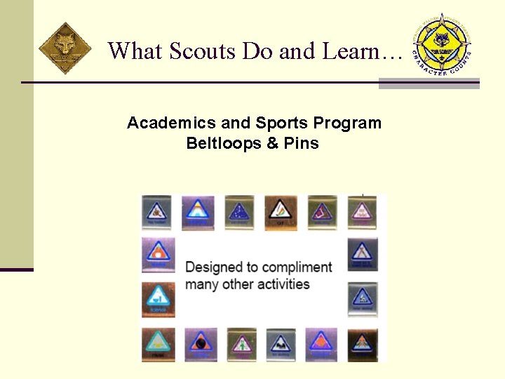 What Scouts Do and Learn… Academics and Sports Program Beltloops & Pins 