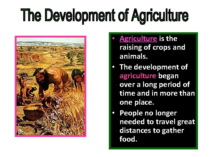  • Agriculture is the raising of crops and animals. • The development of