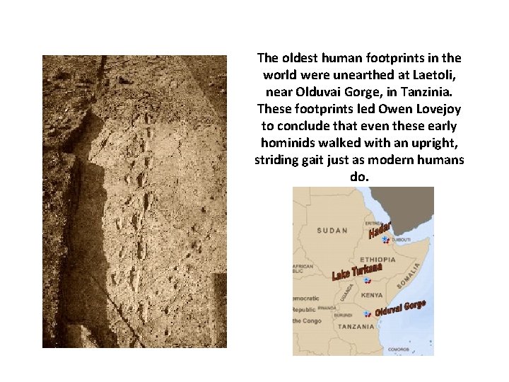 The oldest human footprints in the world were unearthed at Laetoli, near Olduvai Gorge,