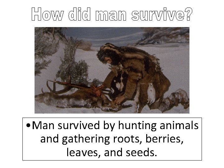  • Man survived by hunting animals and gathering roots, berries, leaves, and seeds.