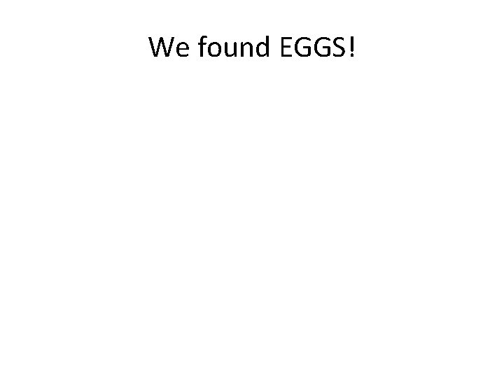 We found EGGS! 