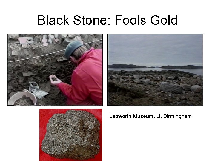 Black Stone: Fools Gold Lapworth Museum, U. Birmingham 