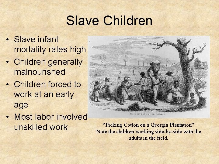 Slave Children • Slave infant mortality rates high • Children generally malnourished • Children