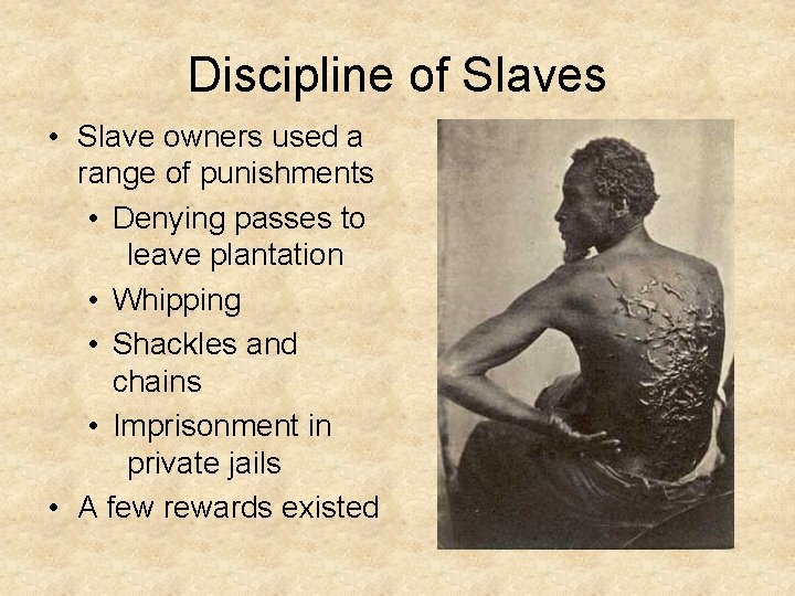 Discipline of Slaves • Slave owners used a range of punishments • Denying passes