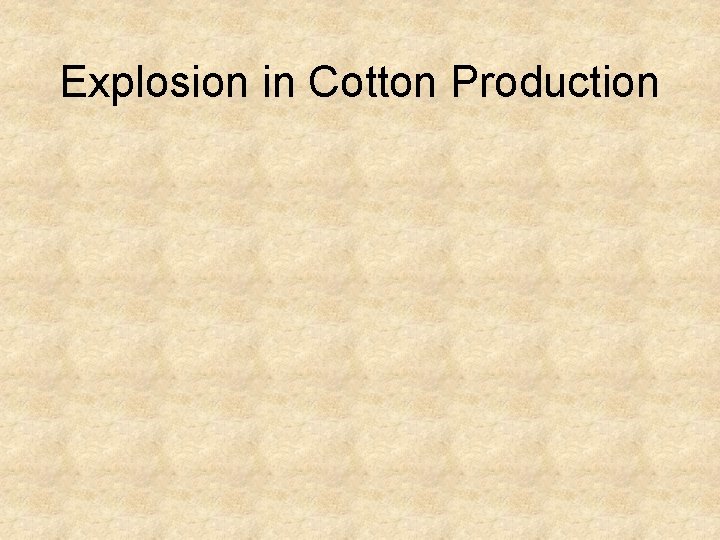 Explosion in Cotton Production 