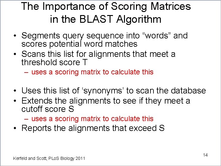 The Importance of Scoring Matrices in the BLAST Algorithm • Segments query sequence into The Importance of Scoring Matrices in the BLAST Algorithm • Segments query sequence into