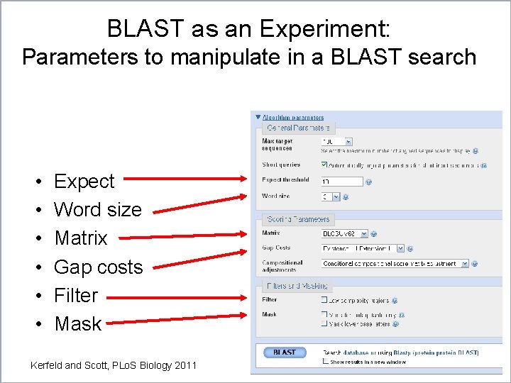 BLAST as an Experiment: Parameters to manipulate in a BLAST search • • • BLAST as an Experiment: Parameters to manipulate in a BLAST search • • •