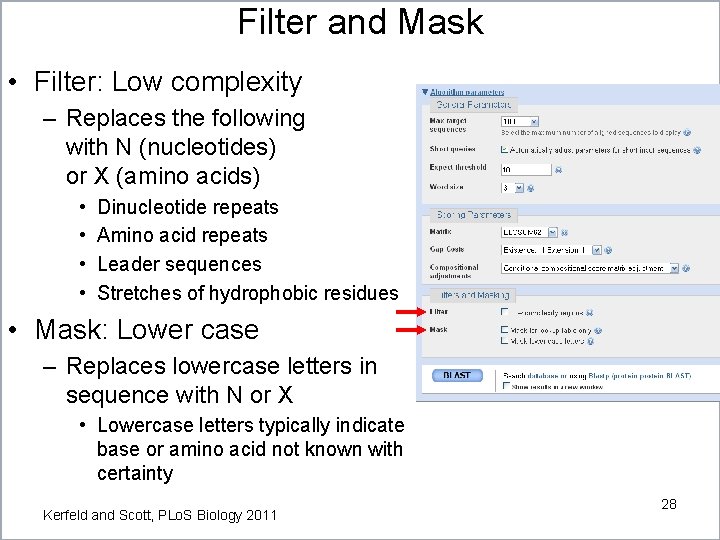 Filter and Mask • Filter: Low complexity – Replaces the following with N (nucleotides) Filter and Mask • Filter: Low complexity – Replaces the following with N (nucleotides)