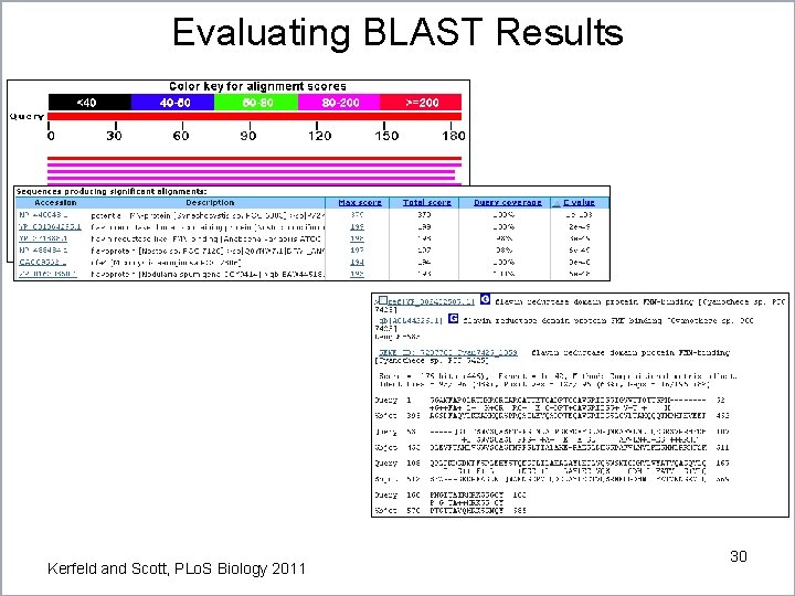 Evaluating BLAST Results Kerfeld and Scott, PLo. S Biology 2011 30 Evaluating BLAST Results Kerfeld and Scott, PLo. S Biology 2011 30