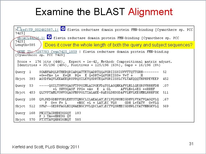 Examine the BLAST Alignment Does it cover the whole length of both the query Examine the BLAST Alignment Does it cover the whole length of both the query