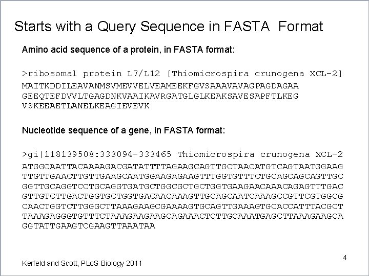 Starts with a Query Sequence in FASTA Format Amino acid sequence of a protein, Starts with a Query Sequence in FASTA Format Amino acid sequence of a protein,