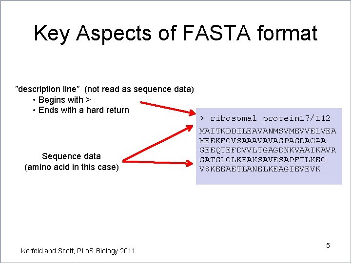Key Aspects of FASTA format ”description line” (not read as sequence data) • Begins Key Aspects of FASTA format ”description line” (not read as sequence data) • Begins