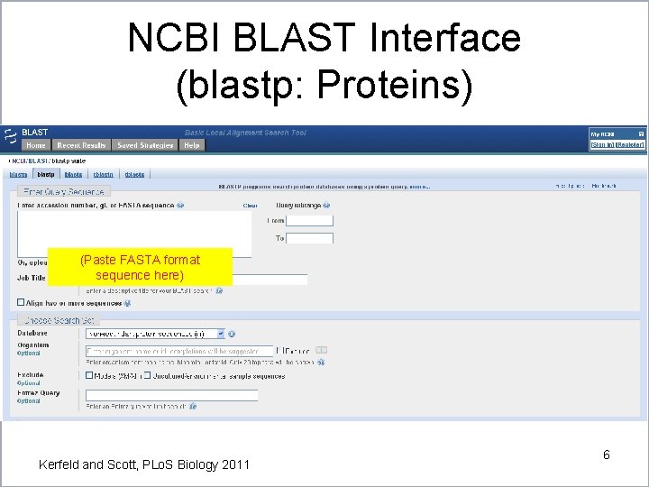NCBI BLAST Interface (blastp: Proteins) (Paste FASTA format sequence here) Kerfeld and Scott, PLo. NCBI BLAST Interface (blastp: Proteins) (Paste FASTA format sequence here) Kerfeld and Scott, PLo.