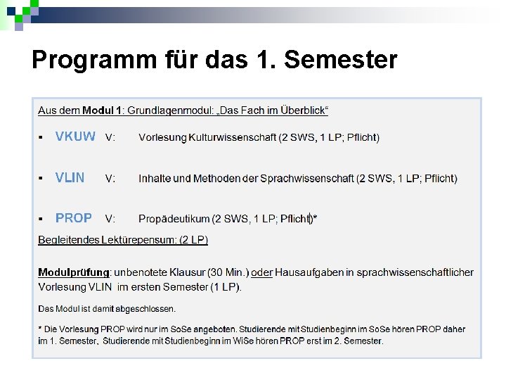 Programm für das 1. Semester 