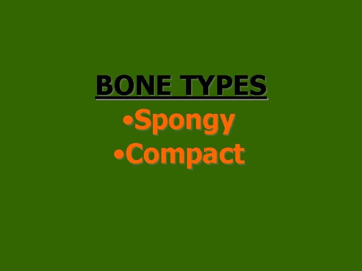 BONE TYPES • Spongy • Compact 