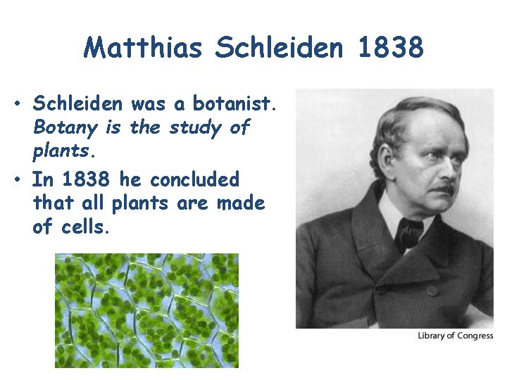 Matthias Schleiden 1838 • Schleiden was a botanist. Botany is the study of plants.