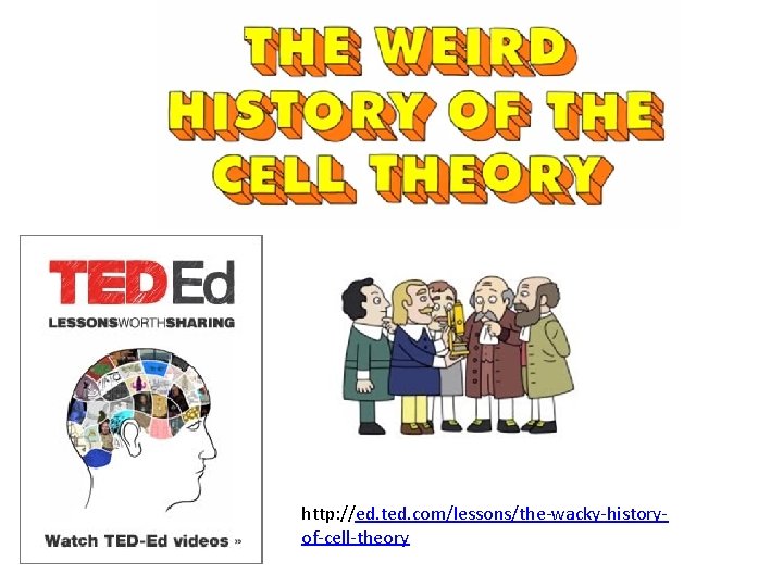 http: //ed. ted. com/lessons/the-wacky-historyof-cell-theory 