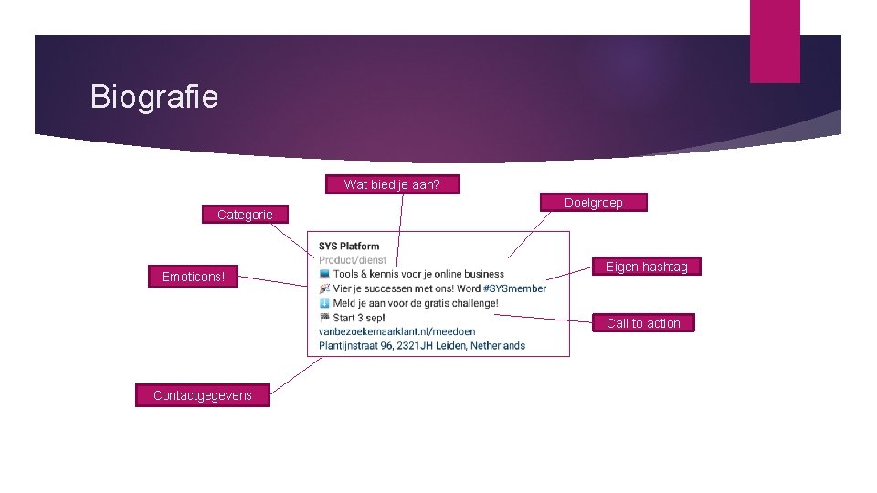 Biografie Wat bied je aan? Categorie Emoticons! Doelgroep Eigen hashtag Call to action Contactgegevens