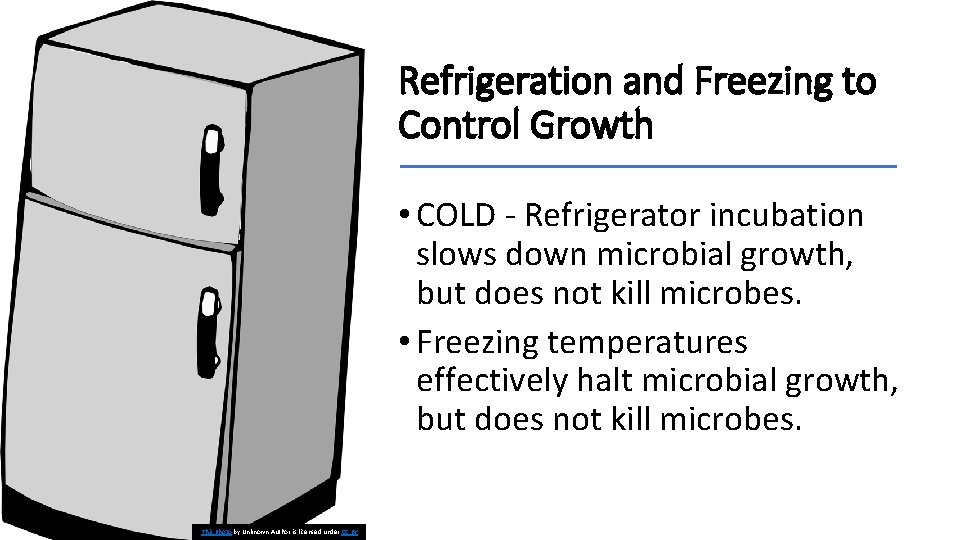 Refrigeration and Freezing to Control Growth • COLD - Refrigerator incubation slows down microbial