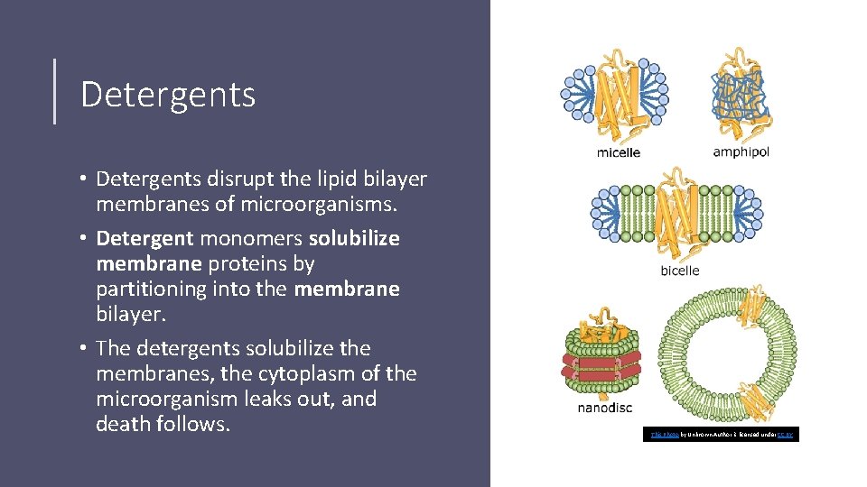 Detergents • Detergents disrupt the lipid bilayer membranes of microorganisms. • Detergent monomers solubilize