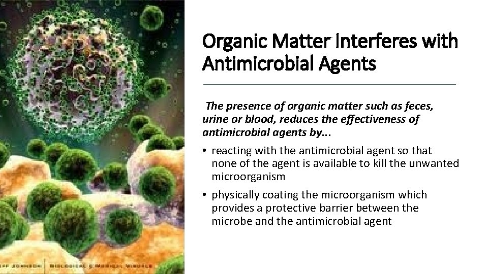 Organic Matter Interferes with Antimicrobial Agents The presence of organic matter such as feces,