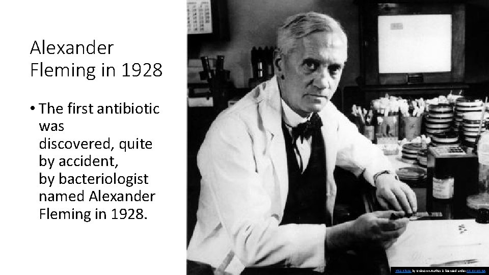 Alexander Fleming in 1928 • The first antibiotic was discovered, quite by accident, by