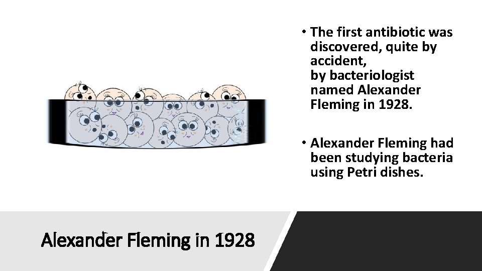  • The first antibiotic was discovered, quite by accident, by bacteriologist named Alexander
