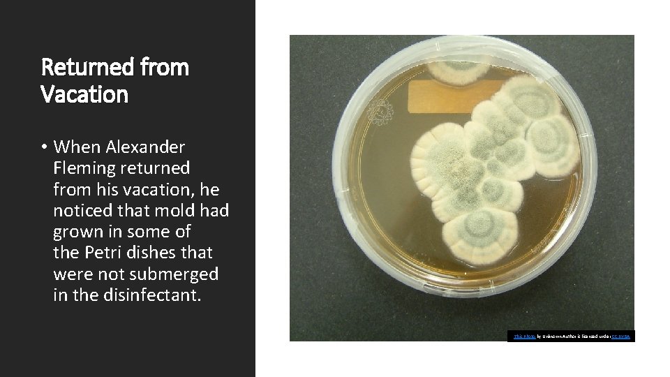 Returned from Vacation • When Alexander Fleming returned from his vacation, he noticed that
