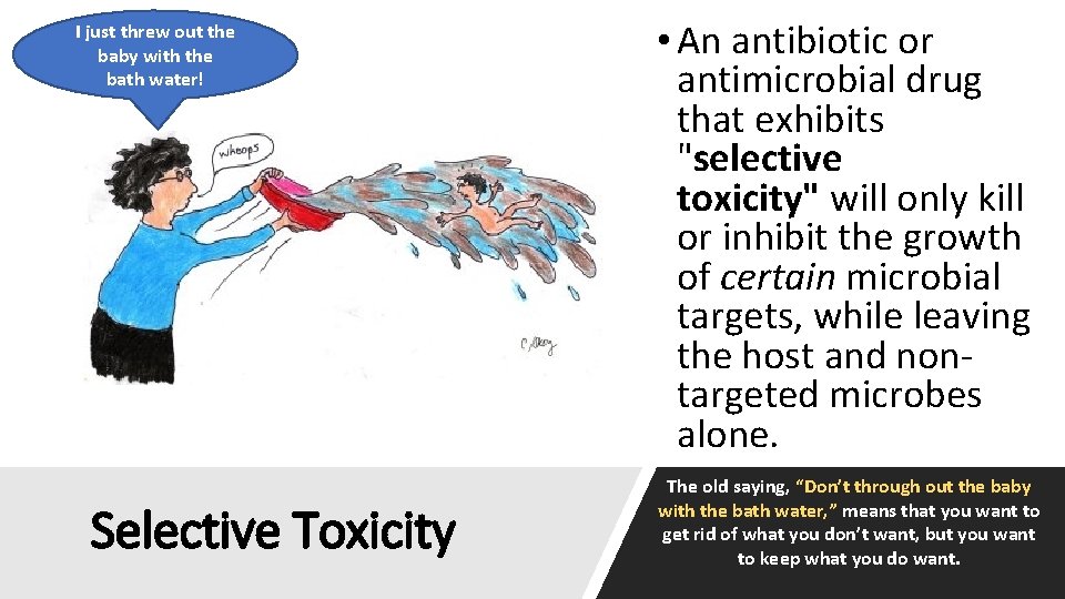 I just threw out the baby with the bath water! Selective Toxicity • An