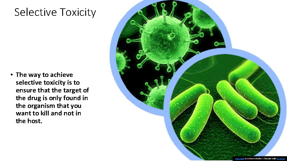 Selective Toxicity • The way to achieve selective toxicity is to ensure that the