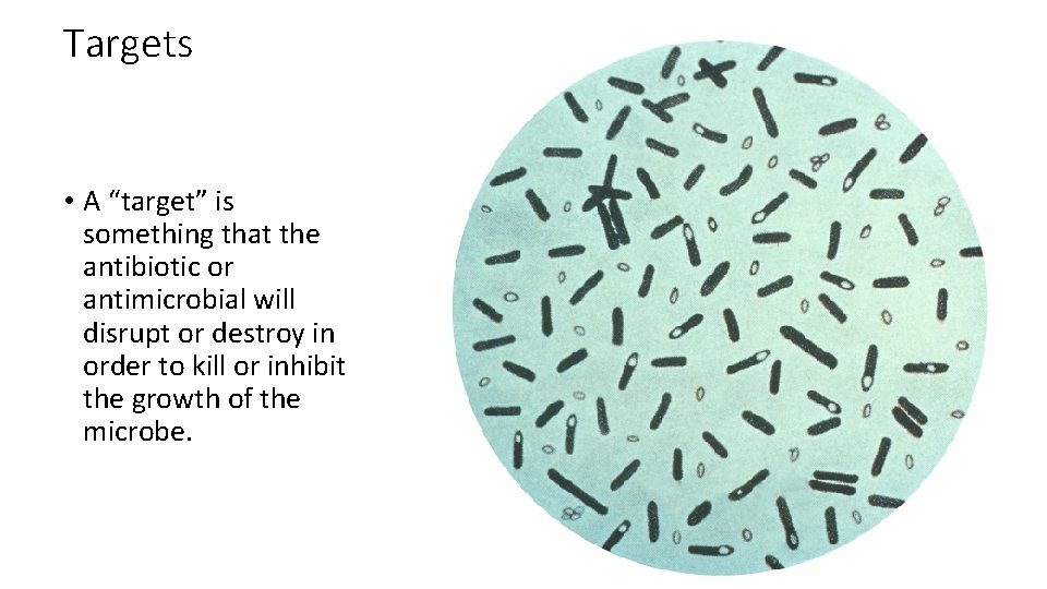 Targets • A “target” is something that the antibiotic or antimicrobial will disrupt or