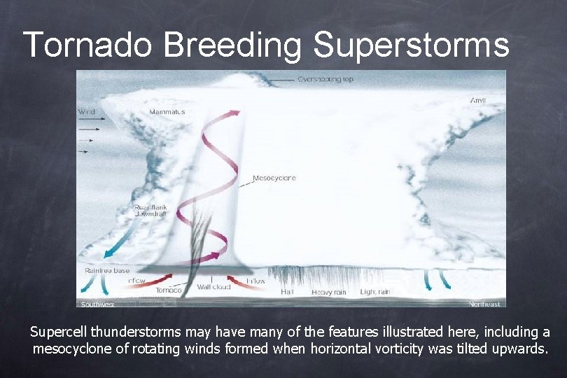 Tornado Breeding Superstorms Supercell thunderstorms may have many of the features illustrated here, including