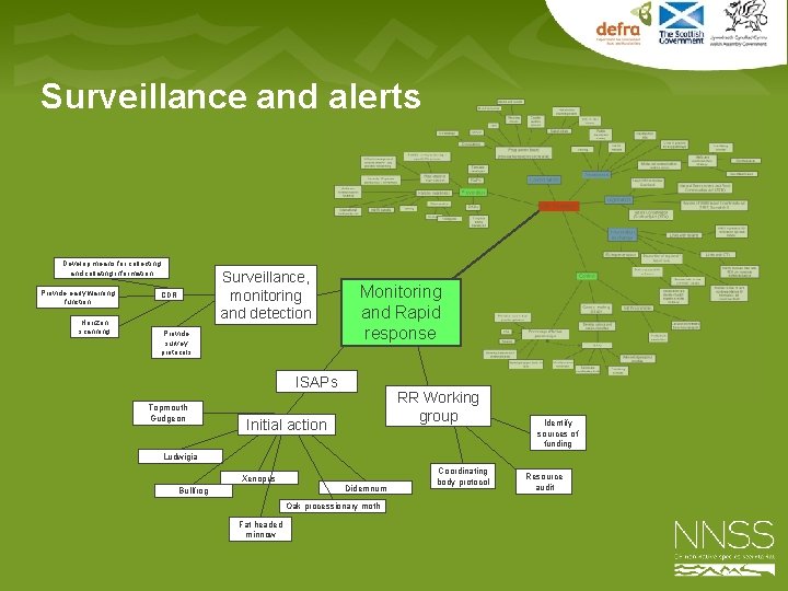 Surveillance and alerts Develop means for collecting and collating information Provide early warning function
