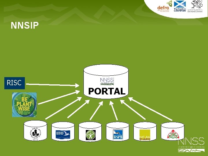 NNSIP RISC PORTAL 