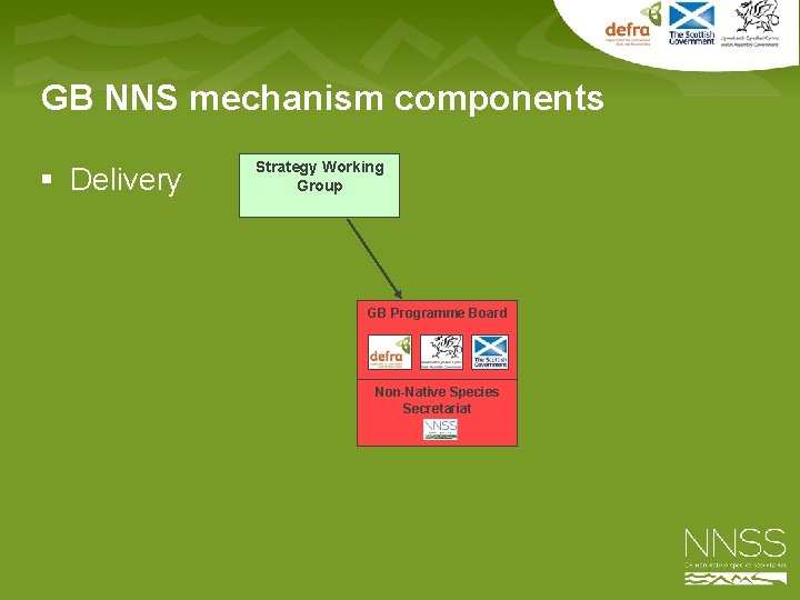 GB NNS mechanism components § Delivery Strategy Working Group GB Programme Board Non-Native Species