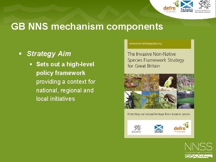 GB NNS mechanism components § Strategy Aim § Sets out a high-level policy framework