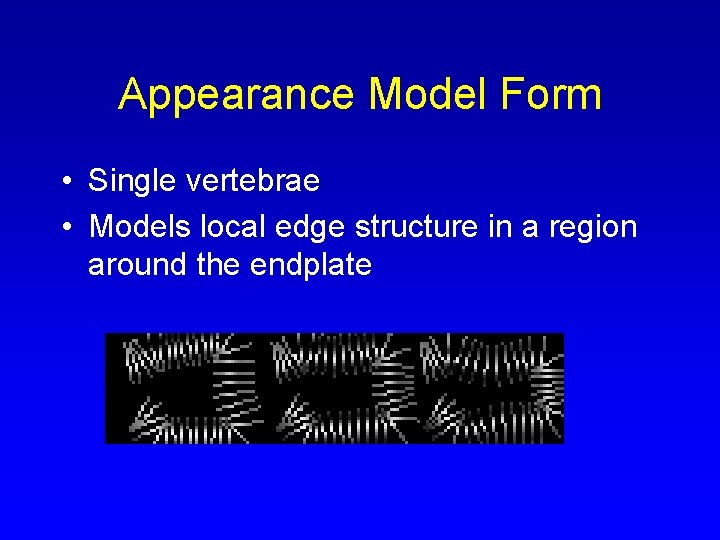 Appearance Model Form • Single vertebrae • Models local edge structure in a region