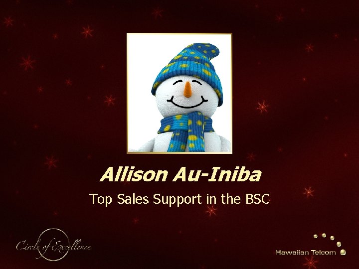 Allison Au-Iniba Top Sales Support in the BSC 