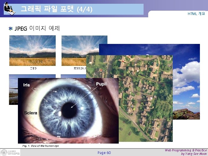 그래픽 파일 포맷 (4/4) HTML 개요 JPEG 이미지 예제 Page 60 Web Programming &