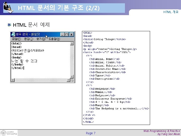 HTML 문서의 기본 구조 (2/2) HTML 개요 HTML 문서 예제 Page 7 Web Programming