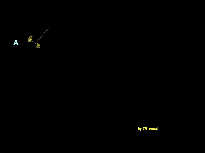 Phase changes by 2 p round the loop Nature 382, 322 (1996) 