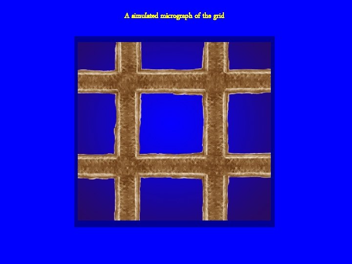 A simulated micrograph of the grid 