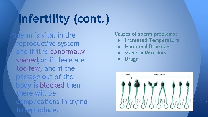 Infertility (cont. ) Sperm is vital in the reproductive system and if it is