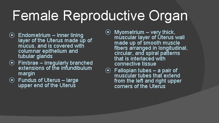 Female Reproductive Organ ⦿ Endometrium – inner lining layer of the Uterus made up
