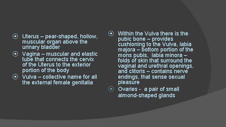 ⦿ Uterus – pear-shaped, hollow, muscular organ above the urinary bladder ⦿ Vagina –