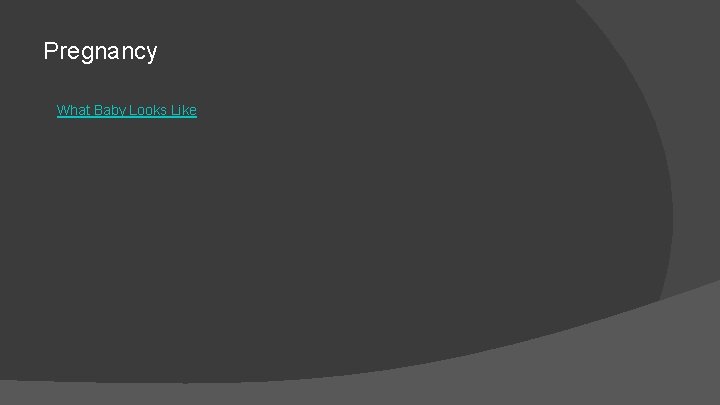 Pregnancy What Baby Looks Like 