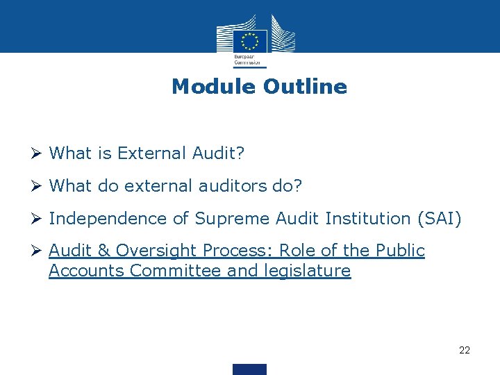 Module Outline Ø What is External Audit? Ø What do external auditors do? Ø