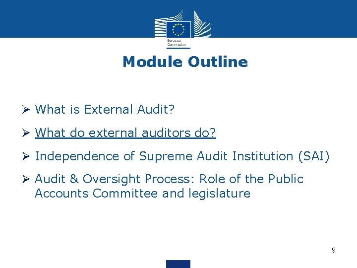 Module Outline Ø What is External Audit? Ø What do external auditors do? Ø