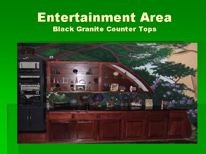 Entertainment Area Black Granite Counter Tops 