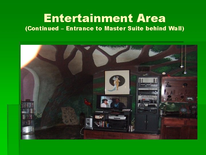 Entertainment Area (Continued – Entrance to Master Suite behind Wall) 